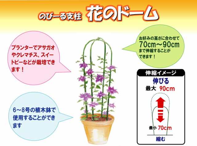 のびーる支柱 伸縮式 花のドーム 植木鉢用 1個入り 園芸 ガーデニング 家庭菜園 観葉植物 庭 支柱 土 野菜 栽培 簡単 便利の通販はau Pay マーケット Joyアイランド