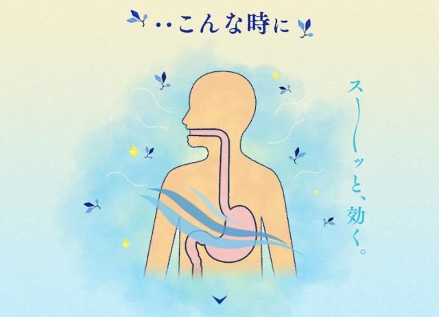 飲み 過ぎ 胃薬 飲み過ぎによる胃の不調、飲む胃薬は？