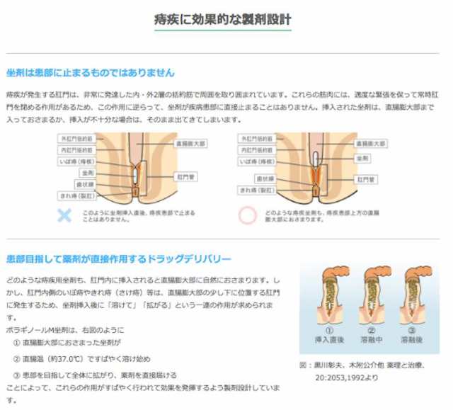 痔の薬 ボラギノールm坐剤 30個 第2類医薬品 痔 いぼ痔 きれ痔 さけ痔 出血 はれ かゆみの緩和 リドカイン 痔の薬 武田薬品 の通販はau Pay マーケット 松林堂薬局 アクセット