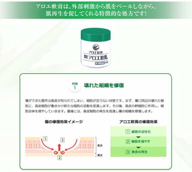 あかぎれ 間宮 アロエ軟膏 90g 第3類医薬品 ひび あかぎれ 切りきず しもやけ やけど ぢ 打身 アロエ 軟膏 小林製薬 海外発の通販はau Pay マーケット 松林堂薬局 アクセット