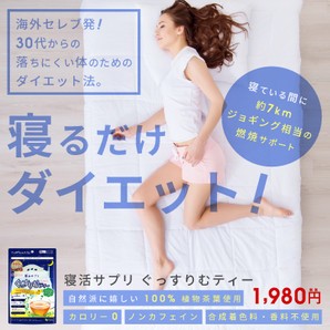 メール便ok寝活サプリ ぐっすりむティー ダイエット茶 ダイエットティー 美容 サプリメント 睡眠の通販はau Pay マーケット Jm