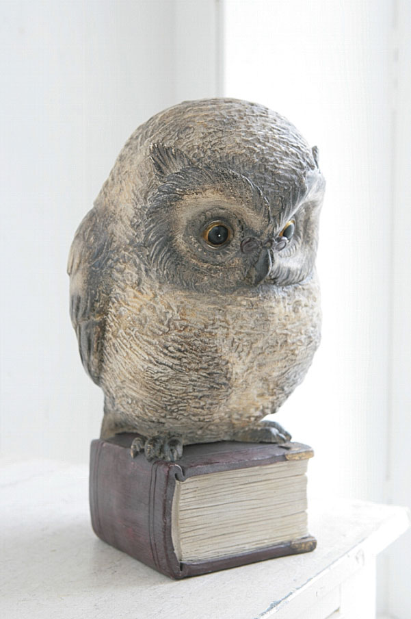 ドクター オウル 置物 動物 ふくろう フクロウ 鳥 可愛い アンティーク調 Co Bk 15の通販はau Pay マーケット Aifa インテリア雑貨