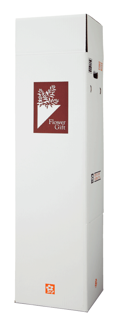 宅配ボックス S Box 12 大型観葉植物用 580円 15組 花材 資材 配送ボックス の通販はau Pay マーケット ランドセル フロロ