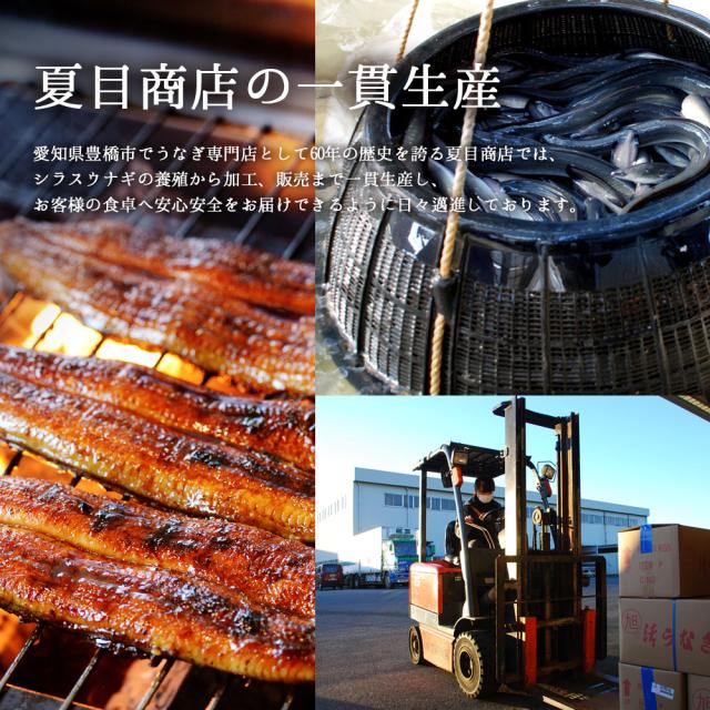 【超早得30％OFFクーポン利用で8,049円】母の日 早割 うなぎ 国産 ギフト 蒲焼き 211-230g×3尾 特々大サイズ 約6人前 風呂敷包み 送料無料 豊橋うなぎ プレゼント 贈り物 真空パック お祝 鰻 専門店 愛知県産 三河産 食べ物 グルメ 海の幸 誕生日 花以外 お祝い 50代 60代の通販は