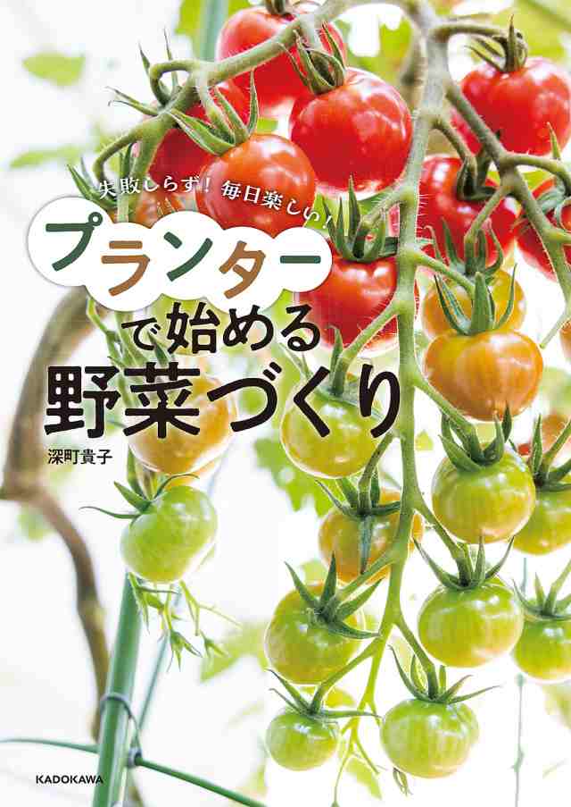 プランターで始める野菜づくり 失敗しらず!毎日楽しい! 深町貴子