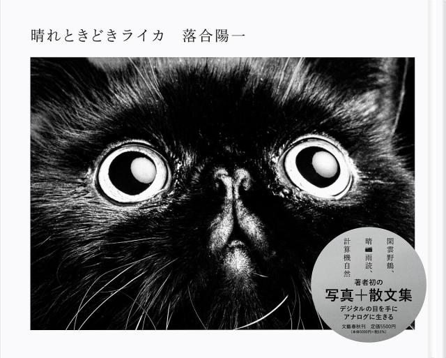 晴れときどきライカ/落合陽一