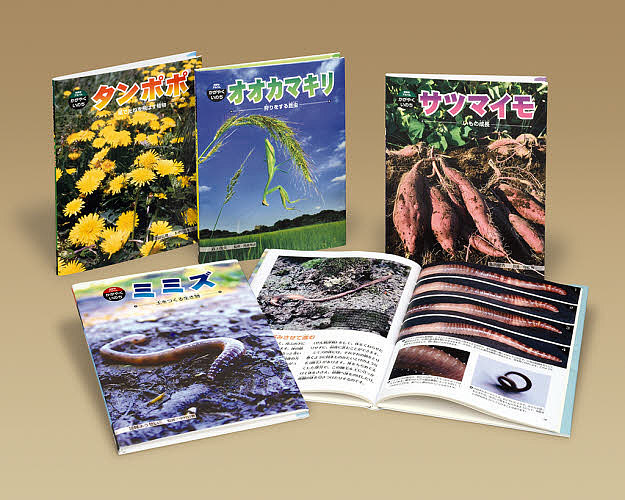 科学のアルバムかがやくいのち 第4期 4巻セット/皆越ようせい