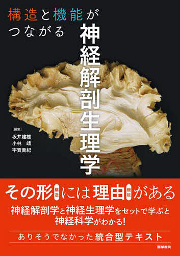 交錯する知 衣装・信仰・女性　武田 佐知子 交錯する知: 衣装・信仰・女性 | 武田 佐知子 |本 | 通販 | Amazon