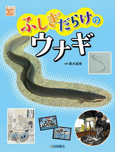 ふしぎだらけのウナギ/黒木真理