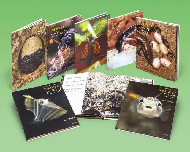 スカル 本・コミック・雑誌 【単行本】 「建物の鑑定評価必携」編集