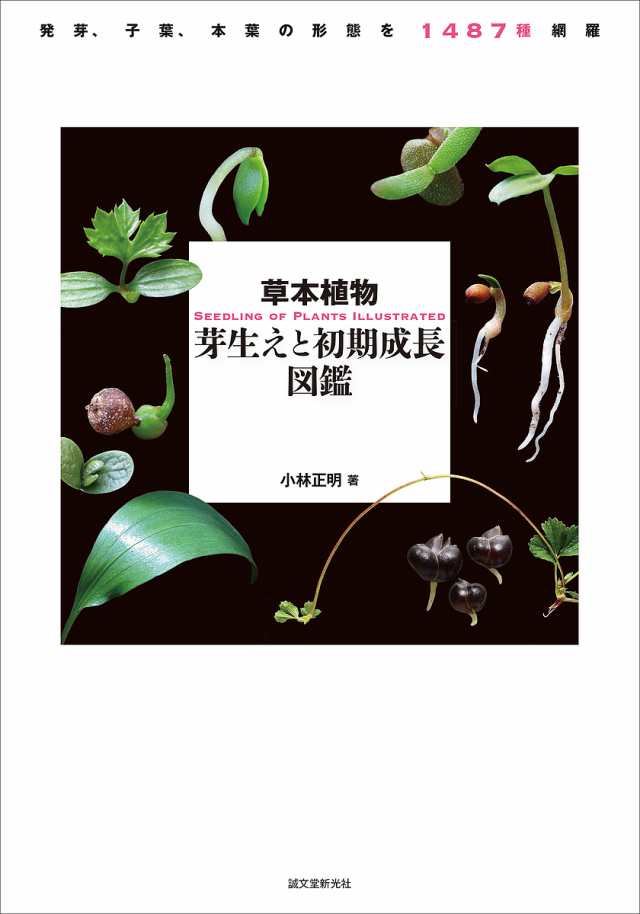 草本植物芽生えと初期成長図鑑 発芽、子葉、本葉の形態を1487種網羅/小林正明の通販は