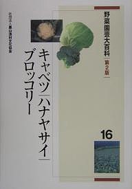 野菜園芸大百科 16/農山漁村文化協会