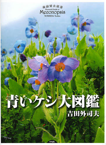 青いケシ大図鑑/吉田外司夫の通販は