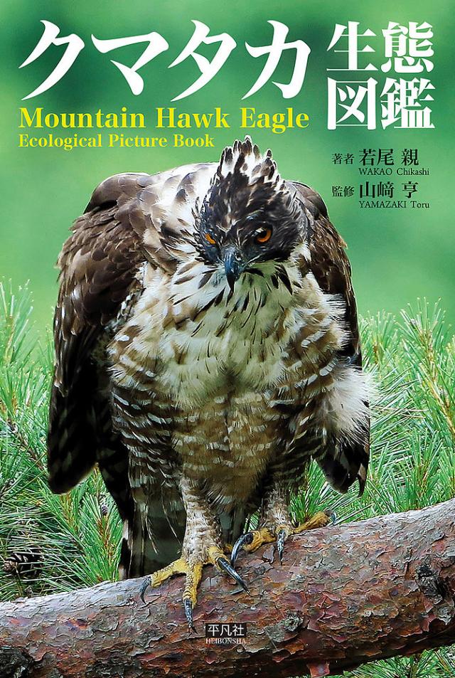 クマタカ生態図鑑 Field Guide/若尾親/山崎亨