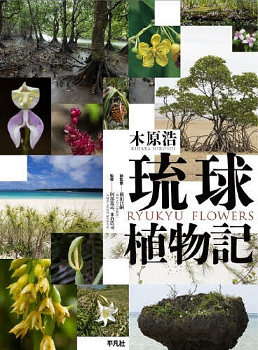琉球植物記/木原浩/横田昌嗣/阿部篤志