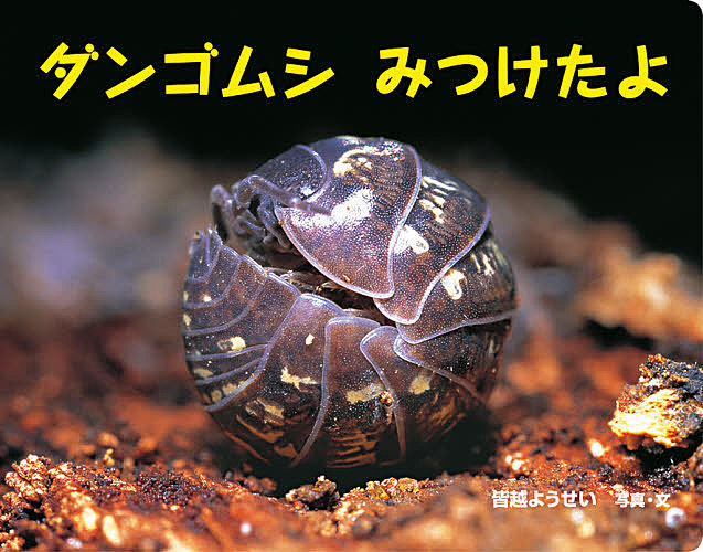クリシュナムルティ・スク-ルの民族誌的研究   /多賀出版/武井敦史（単行本） クリシュナムルティ・スク-ルの民族誌的研究 /多賀出版/武井敦史