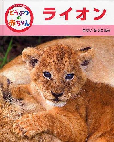 全集・双書】 玉城康四郎著 / 正法眼蔵 現代語訳 5 送料無料
