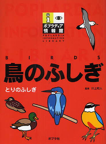 鳥のふしぎ/川上和人