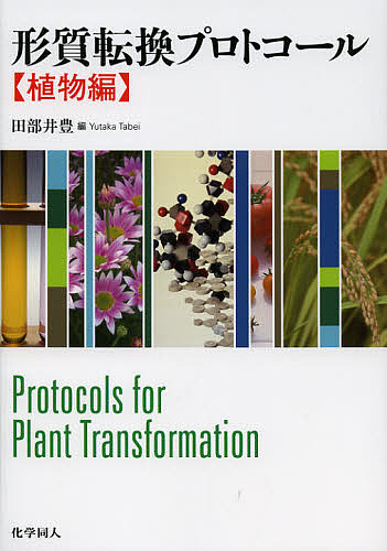 形質転換プロトコール 植物編/田部井豊の通販は