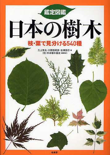 鑑定図鑑日本の樹木 枝・葉で見分ける540種/三上常夫