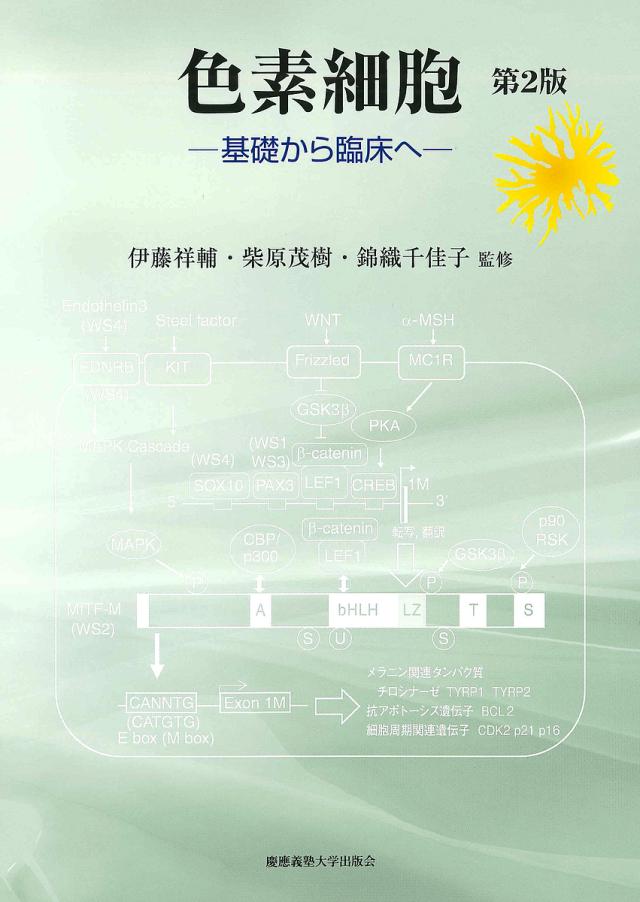 中古】 魔法使いしかっ！！ （バーズコミックス） / うおなてれぴん