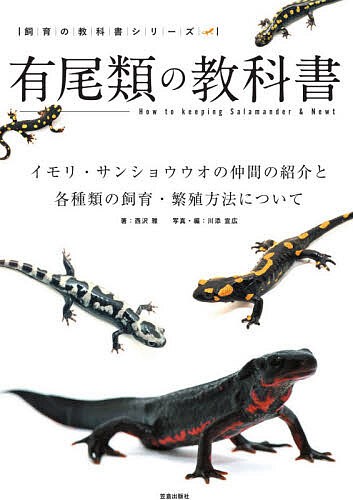 有尾類の教科書 イモリ・サンショウウオの仲間の紹介と各種類の飼育