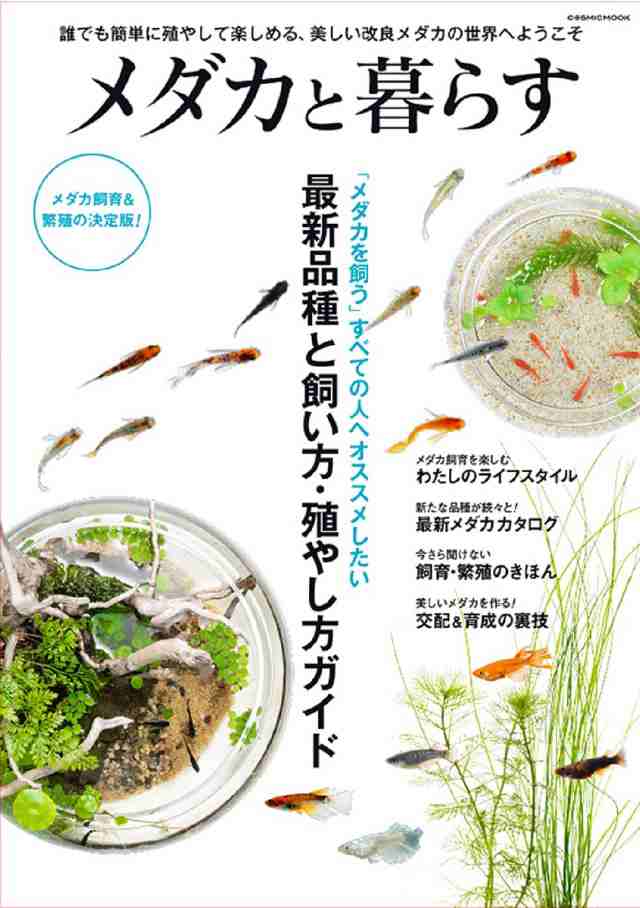 メダカと暮らす 「メダカを飼う」すべての人へオススメしたい最新品種と飼い方・殖やし方ガイド