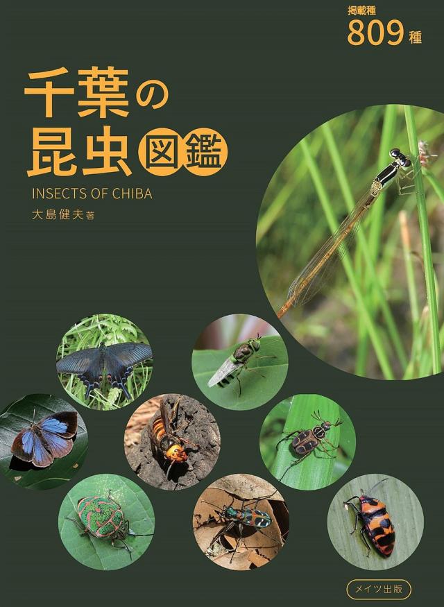 千葉の昆虫図鑑 809種/大島健夫
