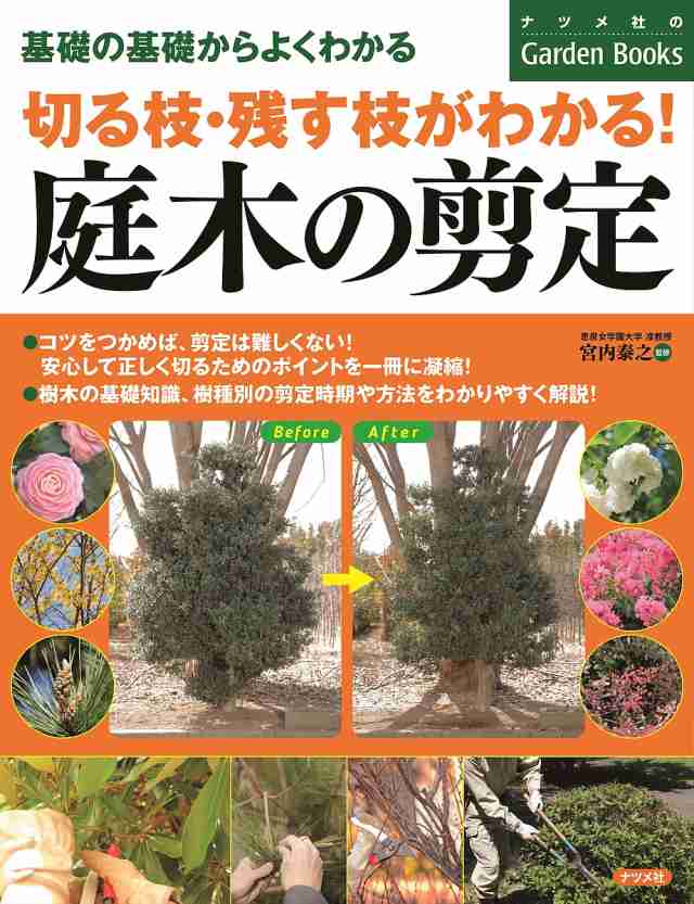 切る枝・残す枝がわかる!庭木の剪定 基礎の基礎からよくわかる 宮内