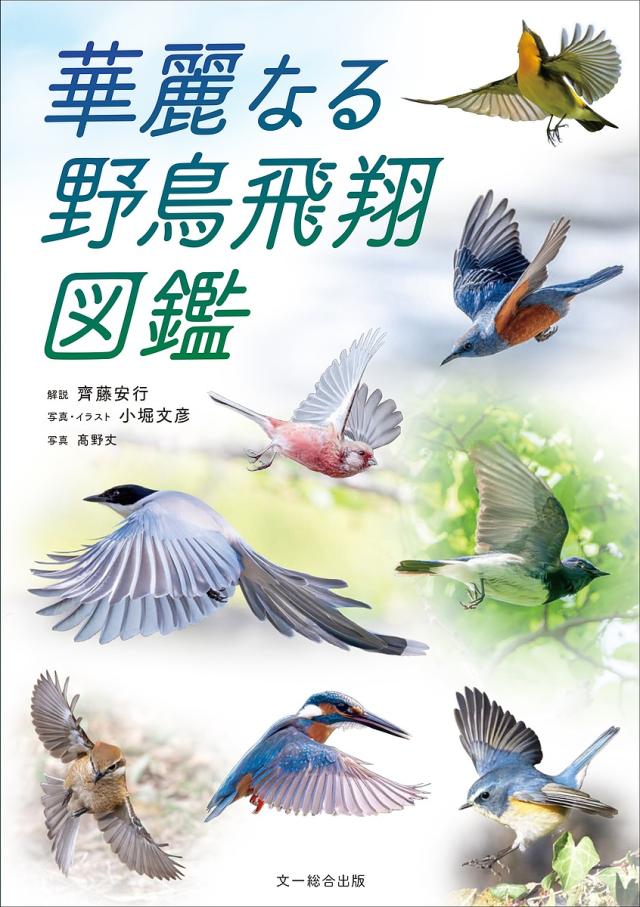 華麗なる野鳥飛翔図鑑/齊藤安行/小堀文彦/・イラスト高野丈 その他アウトドア