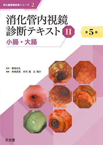 消化管内視鏡診断テキスト 2/藤城光弘/角嶋直美/早河翼