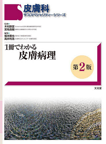 【中古】 ブレインハンター 小説・トーキョーＮ◎ＶＡ/アスペクト/吉森真吾 ブレインハンター 小説・トーキョーN◎VA/アスペクト/吉森真吾