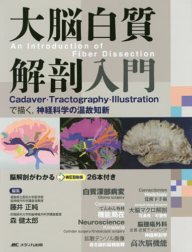 大脳白質解剖入門 Cadaver・Tractography・Illustrationで描く,神経科学の温故知新/藤井正純