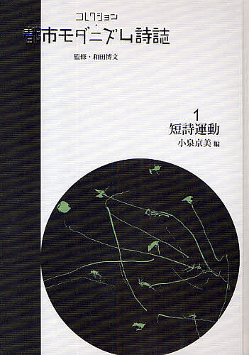 定本佐藤春夫全集  第１６巻 /臨川書店/佐藤春夫（単行本） 定本佐藤春夫全集 第16巻 /臨川書店/佐藤春夫（単行本） 定本