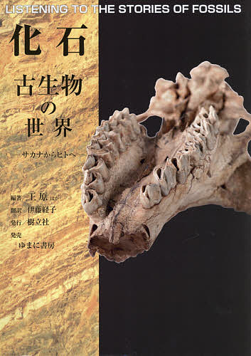 化石 古生物の世界 サカナからヒトへ/王原/伊藤経子