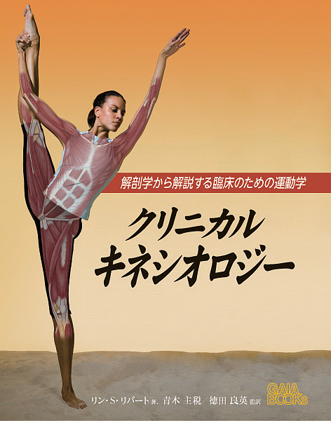 クリニカルキネシオロジー　解剖学から解説する臨床のための運動学/リン・Ｓ・リパート/青木主税/徳田良英