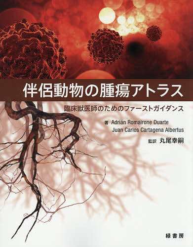 診断力を上げる 日常臨床に潜む咬合由来の問題の診断と治療※裁断済 診断力を上げる 日常臨床に潜む咬合由来の問題の診断と治療: う