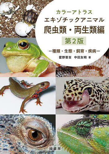 カラーアトラスエキゾチックアニマル 種類・生態・飼育・疾病 爬虫類・両生類編/霍野晋吉/中田友明