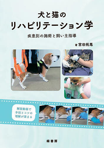 書籍]/脊髄病理学/橋詰良夫/著 吉田眞理/著/NEOBK-2366973 【公式通販】