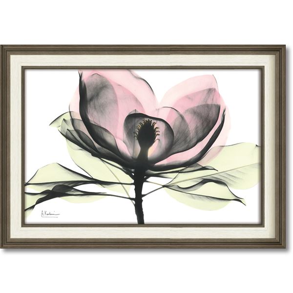 ユーパワー X-RAYキャンバスアート 「ピンクマグノリア」(Mサイズ) 送料込！の通販は