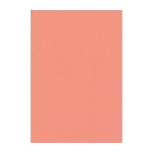（まとめ） 文運堂 ニューカラーR 八ツ切 横271×縦392mm 8NCR-127 サーモン 100枚入 【×2セット】 送料