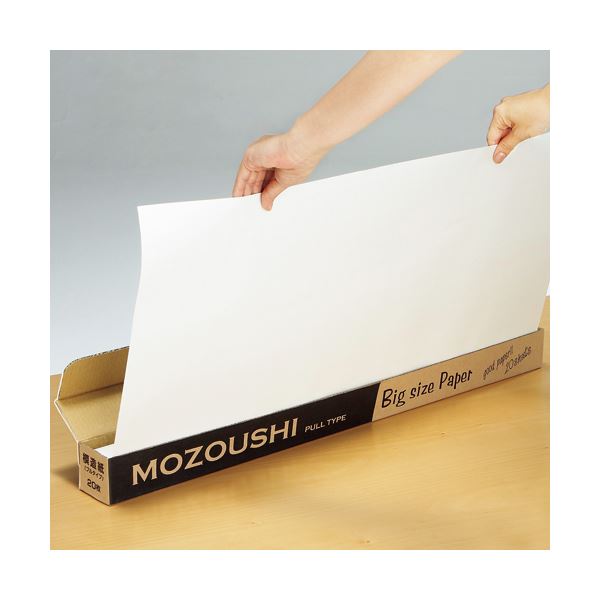 （まとめ） TANOSEE 模造紙（プルタイプ） 本体 788×1085mm 無地 再生ホワイト 1ケース（20枚） 【×5セッ