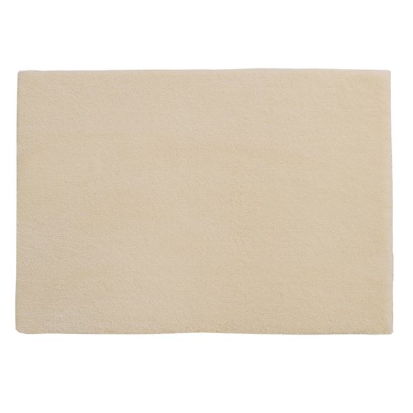 消臭・防炎 玄関マット 【約50×80cm ベージュ】 ポリエステル100％ スミトロンサキソニー スミノエ 〔エントランス 入の通販は 5,455円