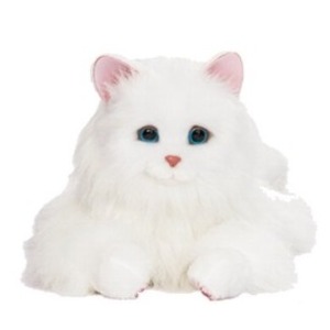 あなたのパートナー しっぽふりふり あまえんぼうねこちゃん 送料無料！の通販は