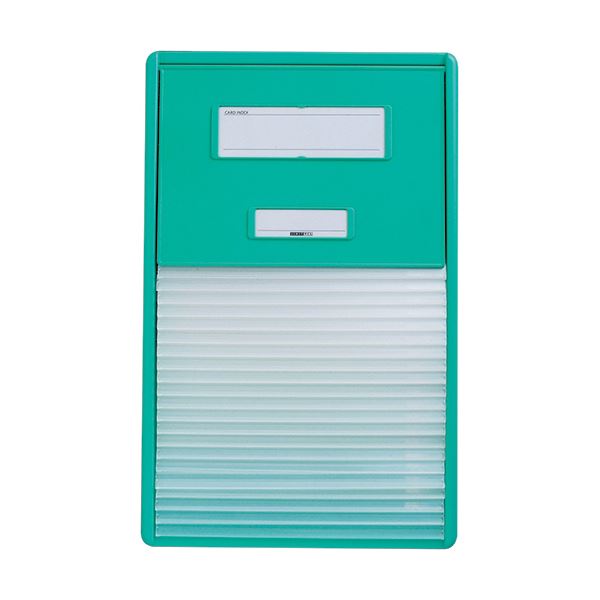 リヒトラブ カラーカードインデックスA4 21ポケット グリーン HC112C-3 1冊 送料無料！の通販は 12,960円