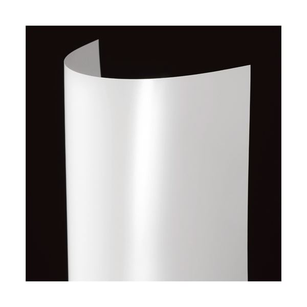 (まとめ) TANOSEE カラーレーザープリンター用 光沢紙 薄手 A3 1冊（100枚） 【×30セット】 送料無料！の通販は