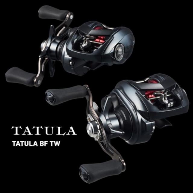 ダイワ(Daiwa) 26 タトゥーラ BF TW 8.1R 右ハンドル ネコポス(メール便)対象商品_5