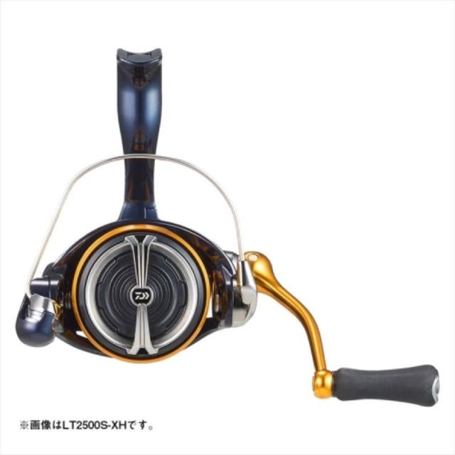 ダイワ(Daiwa) レブロス LT5000-CXH 24年モデル スピニングリールの