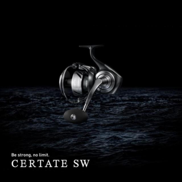 ダイワ(Daiwa) 26 セルテート SW 18000-H_1