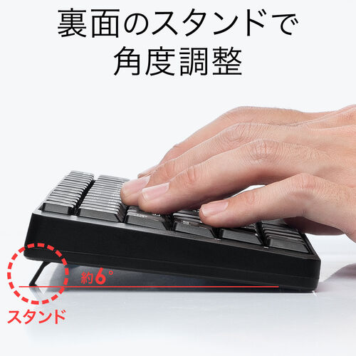 rapoo 極薄キーボード＆静音マウスセット ブラック rapoo 極薄キーボード＆静音マウスセット | Costco Japan